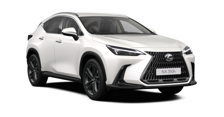 lexus nx da central motors a torino